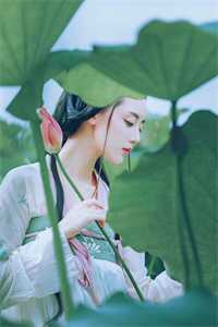 在线阅读免费小说我为谢阳晖打(谢阳晖雪儿)_我为谢阳晖打谢阳晖雪儿最热门小说