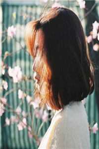 妻主