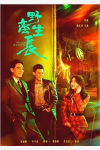 通灵王妃：帝尊，又在虐渣了