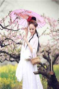 不争不抢，秀女入宫做了娘娘杭佳雁心乌雅静柔最热门小说排行榜_小说免费完结不争不抢，秀女入宫做了娘娘(杭佳雁心乌雅静柔)