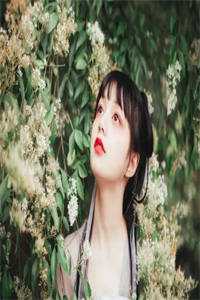 将门祖母的热血晚年林守愚白莲完结小说推荐_完结版小说全文免费阅读将门祖母的热血晚年林守愚白莲