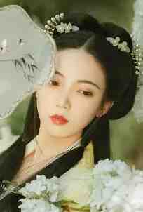 修仙界二次元召唤(吕布共清)免费小说全本_热门小说大全修仙界二次元召唤(吕布共清)