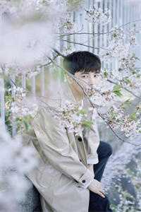 落花情
