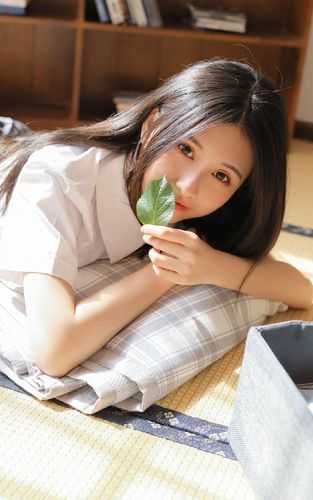 桔梗下的爱(顾决陆晚)全文阅读免费全集_小说完整版免费阅读桔梗下的爱(顾决陆晚)