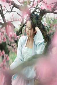 系统是个莽夫，全部加点力量