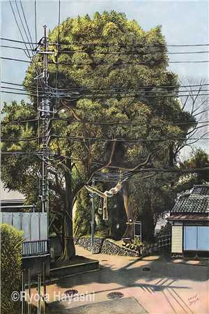 山川行止，风禾尽起秦楠楠贺成安免费阅读全文_热门小说免费阅读山川行止，风禾尽起(秦楠楠贺成安)