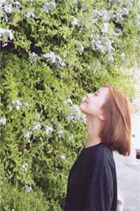 原来夏等不到冬(乔念夏霍司衍)小说完整版_最新好看小说推荐原来夏等不到冬乔念夏霍司衍
