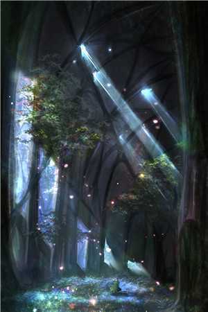 长夜与风说舒时吟萧君宴完整版免费小说_完整版免费全文阅读长夜与风说(舒时吟萧君宴)