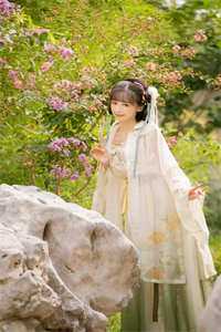 前妻大着肚子求复合，我让她社死了秦凯李岚完结的小说_热门完本小说前妻大着肚子求复合，我让她社死了(秦凯李岚)