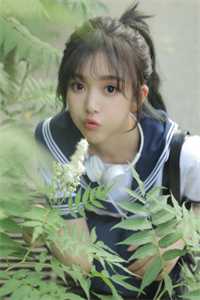 开局获得剑心通明，我稳健修行(林尘叶轩)无弹窗全文免费阅读_无弹窗免费阅读开局获得剑心通明，我稳健修行(林尘叶轩)