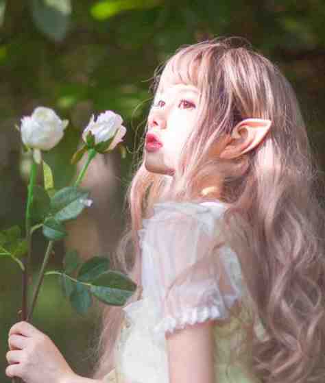 减寿(夏乔林晓晓)最新更新小说_热门小说免费阅读减寿夏乔林晓晓