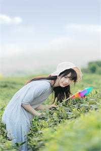 美人多娇画青云(陈阳乔英姿)最新小说_免费阅读全文美人多娇画青云陈阳乔英姿