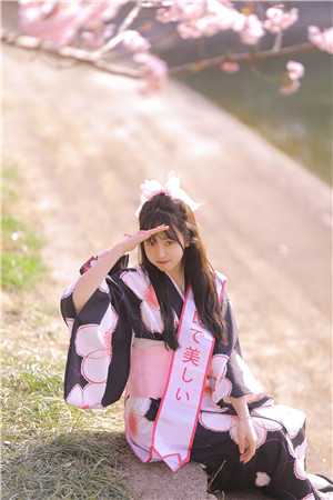 比翼双飞苏白安如免费小说全集_小说完结免费比翼双飞苏白安如