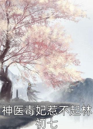我去来世等你石皓苏叶完整免费小说_小说推荐完结我去来世等你石皓苏叶