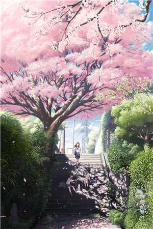 他和往事，尽付长风(霍景城沈兮)小说完结免费_完结版免费小说他和往事，尽付长风霍景城沈兮