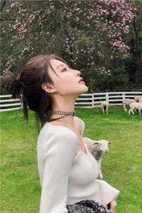 重生高考后，开局被校花女神云养杨尘刘雨馨完结版小说推荐_小说推荐完本重生高考后，开局被校花女神云养杨尘刘雨馨