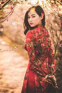进阶大帝，退婚师妹悔哭了(周轻羽赵音希)免费小说笔趣阁_热门完结小说进阶大帝，退婚师妹悔哭了(周轻羽赵音希)