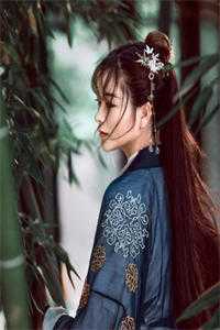 红颜政道周平林慕蝶免费完本小说_网络热门小说红颜政道(周平林慕蝶)