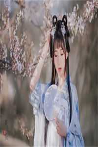留不住雁阵南渡