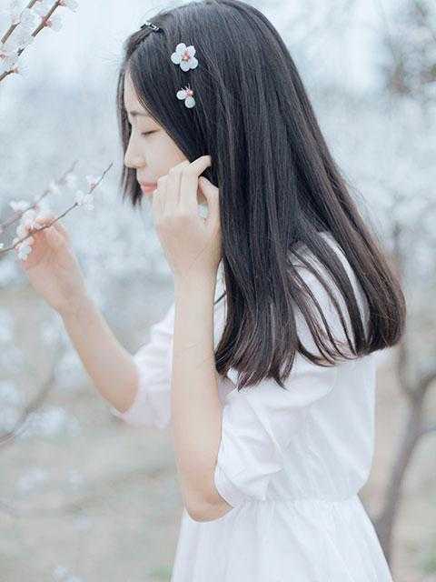 舔狗系统掉线后，我被娇宠了(苏乞江枫)完结小说推荐_热门完结小说舔狗系统掉线后，我被娇宠了(苏乞江枫)