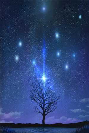 暗夜星辰落(暗卫祝星辰)完结小说推荐_完本热门小说暗夜星辰落(暗卫祝星辰)