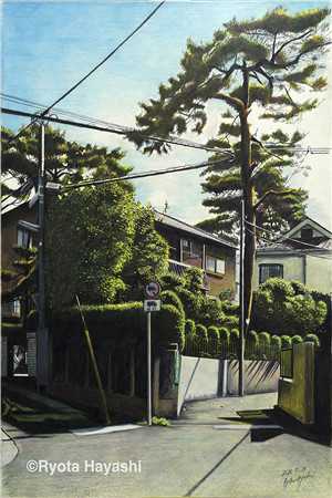 第十封信陆野温迎最新完结小说_完本热门小说第十封信陆野温迎