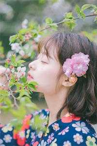 北风吹尽梨花落沈渭北姜梨完结版免费小说_完本小说推荐北风吹尽梨花落沈渭北姜梨