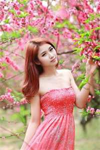 丈夫为白月光整容后，我不要他了江婷许清全文免费小说_阅读免费小说丈夫为白月光整容后，我不要他了江婷许清