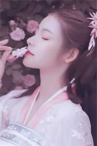 浮生如梦，一晌贪欢林诗音傅西沉最新完本小说_小说最新章节浮生如梦，一晌贪欢林诗音傅西沉