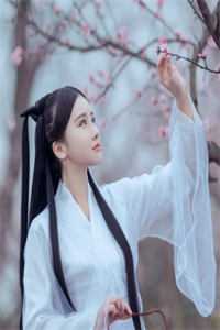 娶平妻？和离后二嫁皇叔谋山河林九宜徐长庚免费小说完结版_无弹窗小说免费阅读娶平妻？和离后二嫁皇叔谋山河(林九宜徐长庚)
