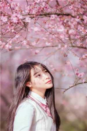 《竹叶青青亦相辞》(沈娇温亦安)全本免费完结小说_完结小说推荐《竹叶青青亦相辞》沈娇温亦安