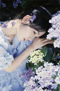风随落花离散沈昭野叶清婉完结版小说阅读_在线免费小说风随落花离散沈昭野叶清婉