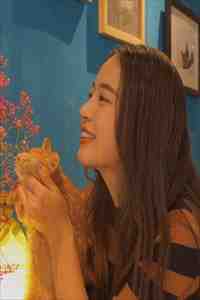 权道之夫人们太给力了李静怡林皓小说推荐完本_完整版免费小说权道之夫人们太给力了(李静怡林皓)
