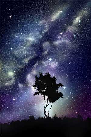 盗墓惊棺，我被迫与龙棺太子圆房念儿姝儿免费小说阅读_完本小说免费盗墓惊棺，我被迫与龙棺太子圆房(念儿姝儿)