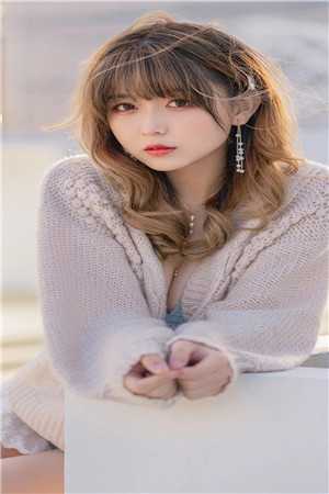 南风不知春晚意温晚温晚意完整免费小说_在线免费小说南风不知春晚意(温晚温晚意)