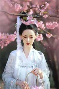 闺蜜齐穿，死遁后整个皇宫都疯了永安阿卿全本免费小说阅读_完结小说闺蜜齐穿，死遁后整个皇宫都疯了(永安阿卿)