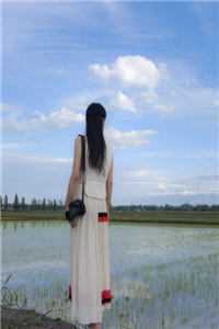 咸鱼小妾温婉沈御免费小说全集_热门小说排行咸鱼小妾(温婉沈御)