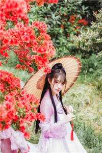 出国后，前妻对我穷追不舍(顾迟云云晚晚)完结的小说_小说免费阅读出国后，前妻对我穷追不舍顾迟云云晚晚