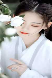 桃花开时不见你林栖穆落行推荐完本小说_完结小说免费阅读桃花开时不见你(林栖穆落行)