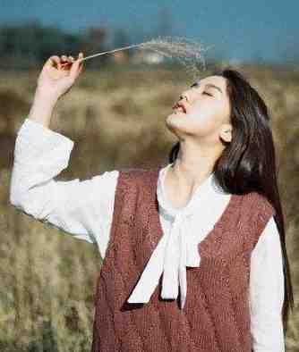 不见青山不见君顾淮川安意免费小说笔趣阁_完结免费小说不见青山不见君顾淮川安意
