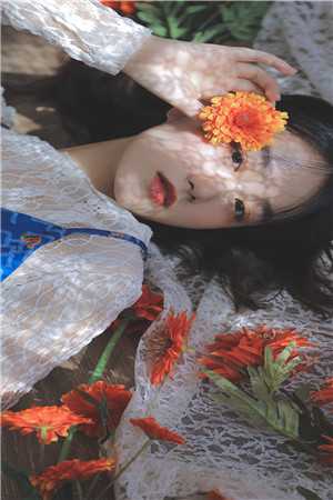 人间红尘，爱恨不相逢(贺婉奕叶清尘)小说全文免费阅读_免费完本小说人间红尘，爱恨不相逢贺婉奕叶清尘