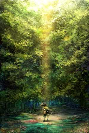 如果星星还记得(顾清莹林牧)免费小说阅读_完本小说免费如果星星还记得(顾清莹林牧)