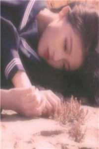 逆流年代：从1970开始种田养家李天明宋晓雨完本小说大全_免费小说全本阅读逆流年代：从1970开始种田养家(李天明宋晓雨)