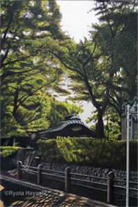 君若无情我便休(沈月容燕城)完本小说_全本免费小说君若无情我便休(沈月容燕城)