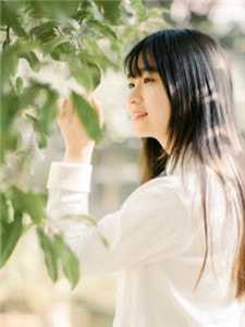 任君凭栏我栖春山路悬舟楚琉璃热门网络小说推荐_免费阅读完整版小说任君凭栏我栖春山路悬舟楚琉璃