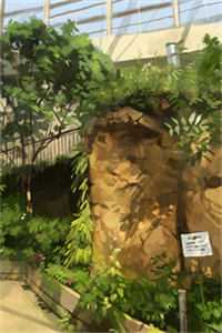 我走后，高冷佛子跪着去寺里许愿(顾淮深初穗)小说完结版_完本小说我走后，高冷佛子跪着去寺里许愿顾淮深初穗