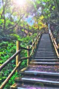 重回八零，我和闺蜜拒绝认亲黑心父母(爱华许强)免费完本小说_免费完整版小说重回八零，我和闺蜜拒绝认亲黑心父母爱华许强