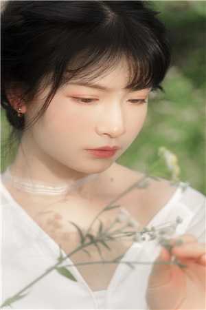 向阳花(傅渊苏锐)最新完结小说推荐_推荐完本小说向阳花傅渊苏锐