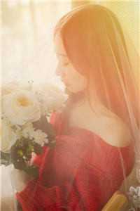 清明花朝清明全集免费小说_完本小说免费清明花朝清明