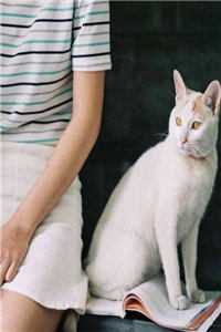重生回来：打猎养家，把妻女宠上天(王向东林雪)无弹窗全文免费阅读_全文免费小说重生回来：打猎养家，把妻女宠上天王向东林雪